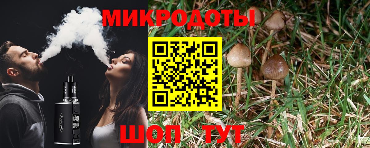 Галлюциногенные грибы ЛСД  Галлюциногенные грибы мухоморы  Кстово  Вход с VPN 
